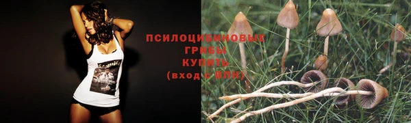 ешки Армянск