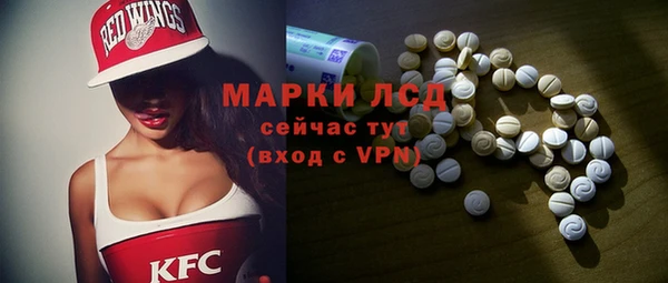 прущие грибы Аркадак