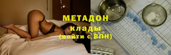 прущие грибы Аркадак
