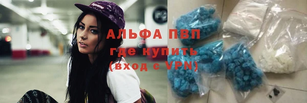 прущие грибы Аркадак