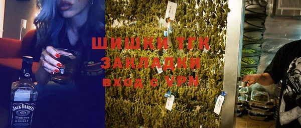 прущие грибы Аркадак