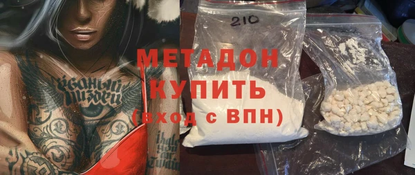 прущие грибы Аркадак